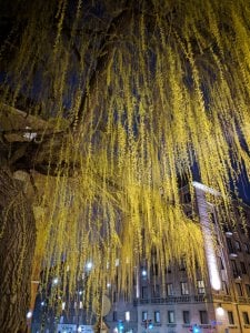 IMG_20190418_224727.jpg