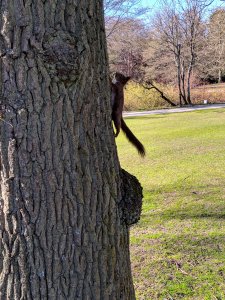 IMG_20190419_163143.jpg