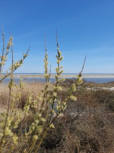 20190420_123237.jpg
