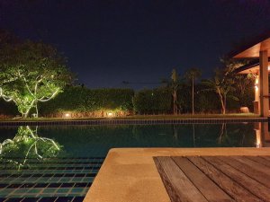 20190420_232043.jpg