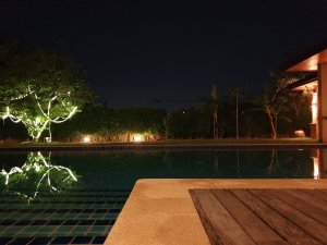 20190420_232034.jpg