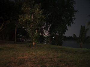 20190421_024348.jpg