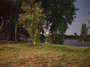 20190421_024356.jpg