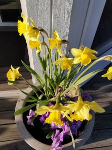 IMG_20190420_184834.jpg
