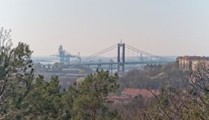 IMG_20190421_155417.jpg