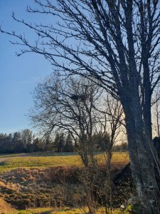20190420_183822.jpg