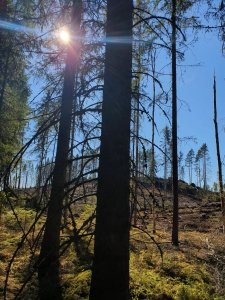 20190420_150157.jpg