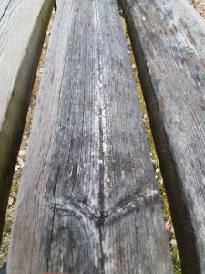 20190419_163218.jpg