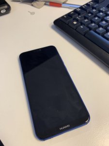 20190424_054932859_iOS.jpg