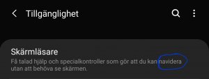 Screenshot_20190424-104657_Accessibility.jpg