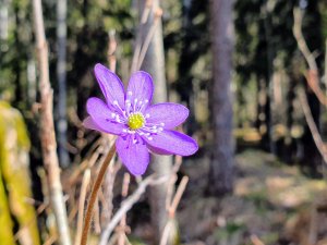 20190422_105117.jpg
