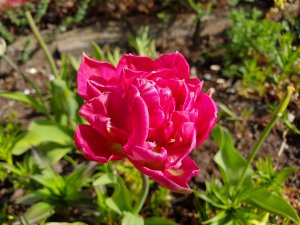 20190424_101731.jpg