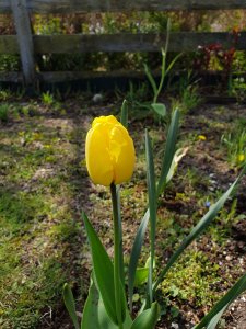 20190424_101845.jpg