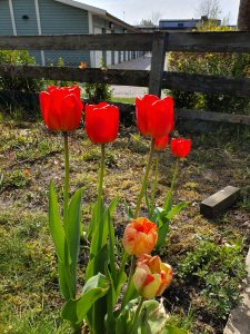 20190424_101857.jpg