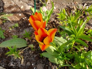 20190424_101754.jpg