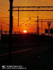 IMG_20190429_054610.jpg
