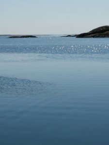 IMG_20190429_120555.jpg