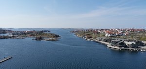 IMG_20190430_101539.jpg