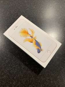 IMG_6407.jpeg