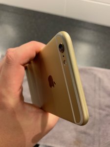 IMG_6395.jpeg
