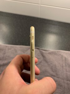 IMG_6393.jpeg
