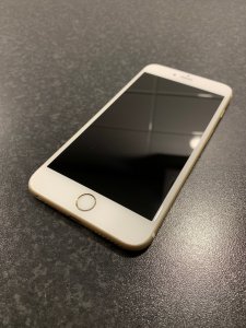 IMG_6388.jpeg