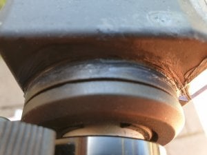 20190511_143656.jpg