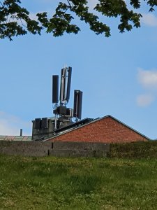 20190513_170204.jpg