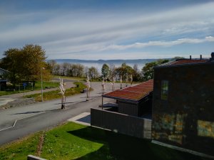 IMG_20190515_090232.jpg