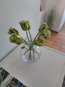 20190515_103819.jpg