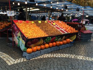 IMG_0071.JPG