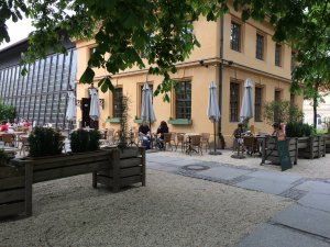 IMG_0225.JPG