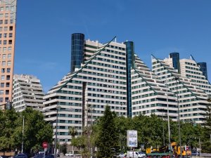 P_20190515_113644.jpg
