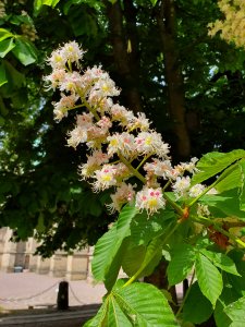 20190522_115957.jpg