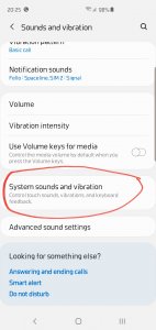 Screenshot_20190522-202530_Settings.jpg