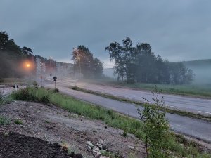 IMG_20190525_032935.jpg