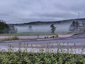IMG_20190525_032805.jpg