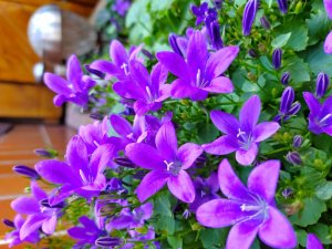 IMG_20190526_171810.jpg