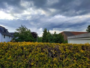 IMG_20190526_191257.jpg