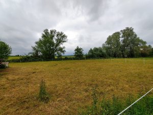 IMG_20190527_112135.jpg