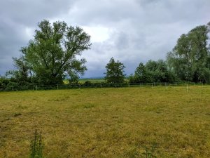 IMG_20190527_112145.jpg