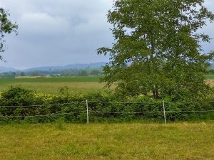 IMG_20190527_112156.jpg