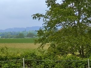IMG_20190527_112205.jpg