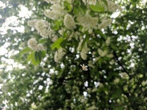 IMG_20190519_172511.jpg