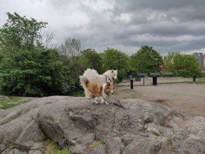 IMG_20190524_1707363.jpg