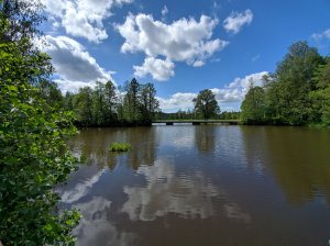 IMG_20190528_133716.jpg