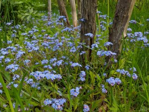 IMG_20190528_133308.jpg