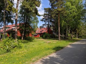 IMG_20190520_151439.jpg