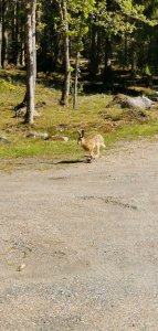 IMG_20190529_101717.jpg