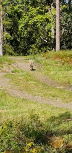 IMG_20190529_101728.jpg